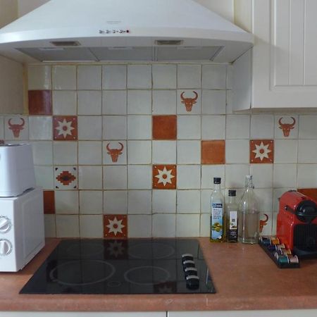 Ceret Pyrenean Star Apartment Екстериор снимка